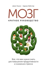 Мозг: краткое руководство. Все, что вам нужно знать для повышения эффективности и снижения стресса Льюис Д., Вебстер А.