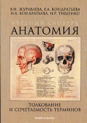 Учебный словарь сочетаемости анатомических терминов Кондратьева И.А., Журавлева В.Н., Кондратьева Е.А., Тищенко И.Р.