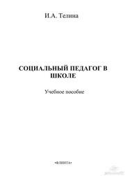 Социальный педагог в школе Телина И.А.