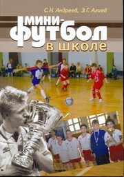 Мини-футбол в школе Андреев С.Н., Алиев Э.Г.