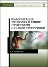 Реабилитация при болях в спине средствами силовой тренировки Бурмистров Д.А.