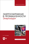 Энергосбережение в промышленности. Энергоаудит Котомкин В. Н.