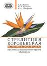 Стрелитция королевская (Strelitzia reginae Banks) в условиях защищенного грунта в Беларуси Жудрик Е.В., Рупасова Ж.А., Тимофеева В.А.