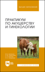 Практикум по акушерству и гинекологии Багманов М. А., Терентьева Н. Ю., Юсупов С. Р., Багданова О. С.