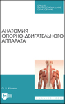 Анатомия опорно-двигательного аппарата Калмин О. В.