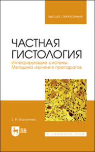 Частная гистология. Интегрирующие системы. Методика изучения препаратов Борхунова Е. Н.