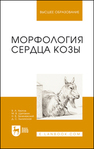 Морфология сердца козы Хватов В. А., Щипакин М. В., Зеленевский Н. В., Былинская Д. С.