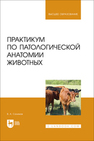 Практикум по патологической анатомии животных Салимов В. А.