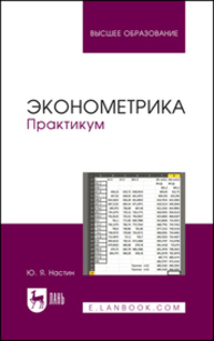 Эконометрика. Практикум Настин Ю. Я.
