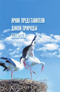 Яркие представители дикой природы Беларуси Чайковский А. И., Груммо Д. Г., Лебедько В. Н.