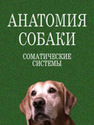 Анатомия собаки. Соматические системы Слесаренко Н. А.