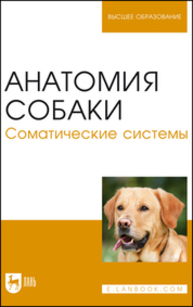 Анатомия собаки. Соматические системы Слесаренко Н. А., Бабичев Н. В., Дурткаринов Е. С., Капустин Ф. Р.