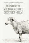 Морфология многокамерного желудка овцы Мельников С. И., Щипакин М. В., Зеленевский Н. В., Былинская Д. С.