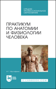 Практикум по анатомии и физиологии человека Мустафина И. Г.