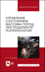 Управление состоянием массива пород при подземной геотехнологии Боровков Ю. А.