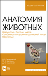 Анатомия животных. Неврология. Органы чувств. Особенности строения домашней птицы. Практикум Зеленевский Н. В., Щипакин М. В., Былинская Д. С.