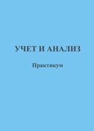 Учет и анализ. Практикум