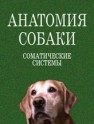 Анатомия собаки. Соматические системы Слесаренко Н.А.