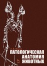 Патологическая анатомия животных Жаров А.В.