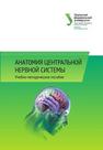 Анатомия центральной нервной системы: учеб.-метод. пособие 
